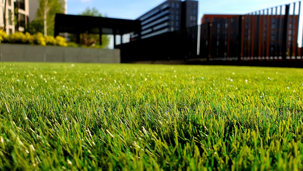 Entretien de jardin par Green Clean Garden